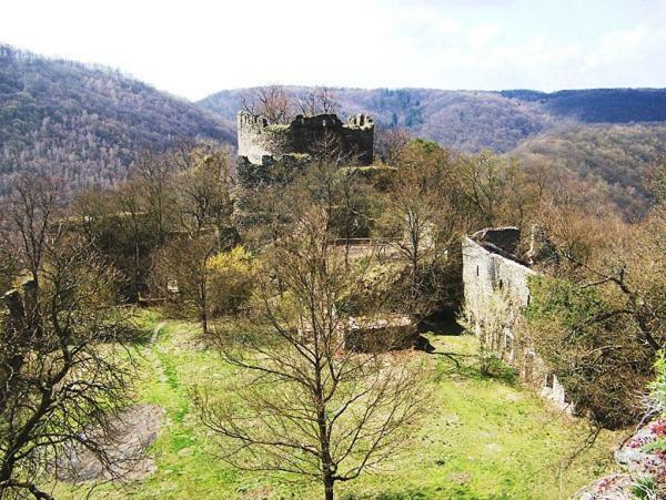 Garden Apartments Znojmo Exteriér fotografie